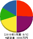 小川設備工業所 貸借対照表 2010年3月期