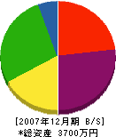 阿讃緑地 貸借対照表 2007年12月期