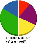 中井造園 貸借対照表 2010年6月期