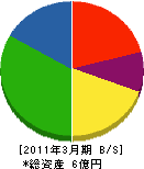 昭和住宅 貸借対照表 2011年3月期