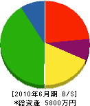 鎌田建設 貸借対照表 2010年6月期
