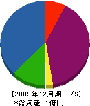 西尾商店 貸借対照表 2009年12月期