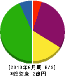 稗田工務店 貸借対照表 2010年6月期