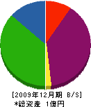 山元建材工業 貸借対照表 2009年12月期
