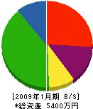 木村設備 貸借対照表 2009年1月期