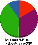 日宣設備 貸借対照表 2010年9月期 日宣設備 貸借対照表 2010年9月期