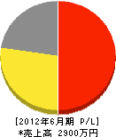 平井山石材 損益計算書 2012年6月期
