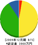 竹嶋電気工事店 貸借対照表 2009年12月期