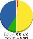 前田建設工業 貸借対照表 2010年4月期