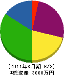 竹内パイピング 貸借対照表 2011年3月期