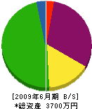 高橋石材興業 貸借対照表 2009年6月期