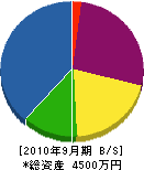 富田電気商会 貸借対照表 2010年9月期