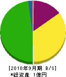 南大阪ハウス工業 貸借対照表 2010年9月期