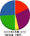 小田島建設 貸借対照表 2010年6月期