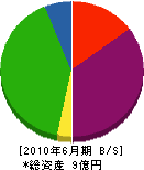 沖縄道路メンテナンス 貸借対照表 2010年6月期
