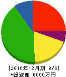 松本電気 貸借対照表 2010年12月期