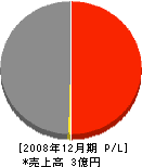 上川地方建設事業（同） 損益計算書 2008年12月期