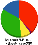 昭電産業 貸借対照表 2012年9月期