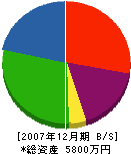 住研岩成 貸借対照表 2007年12月期 住研岩成 貸借対照表 2007年12月期