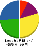 長澤工業 貸借対照表 2009年3月期