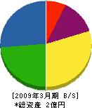 長澤工業 貸借対照表 2009年3月期 長澤工業 貸借対照表 2009年3月期