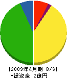 山本電工 貸借対照表 2009年4月期