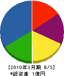 川淵 貸借対照表 2010年3月期