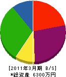 鈴木土建 貸借対照表 2011年3月期