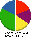 昭和電工 貸借対照表 2009年12月期
