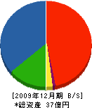 丸亀不動産 貸借対照表 2009年12月期
