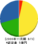 アオミ電気商会 貸借対照表 2008年11月期