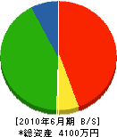 山川工業所 貸借対照表 2010年6月期