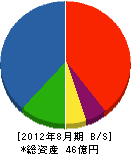 江田組 貸借対照表 2012年8月期