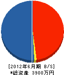 依田工務所 貸借対照表 2012年6月期