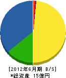 福田組 貸借対照表 2012年6月期