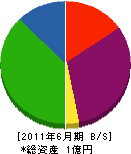 小沢興業 貸借対照表 2011年6月期