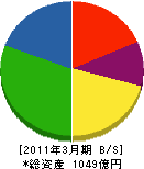 東京製綱 貸借対照表 2011年3月期