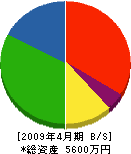 田橋工業 貸借対照表 2009年4月期