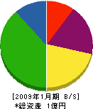 中野左官店 貸借対照表 2009年1月期