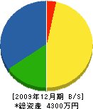 橋口木工所 貸借対照表 2009年12月期