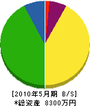 石倉建設 貸借対照表 2010年5月期