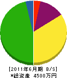 岩田造園 貸借対照表 2011年6月期