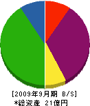 花澤林産興業 貸借対照表 2009年9月期