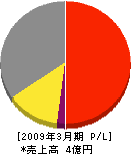 和田エネルギー 損益計算書 2009年3月期