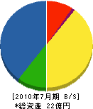 日経工業 貸借対照表 2010年7月期