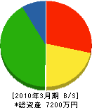 安井技研 貸借対照表 2010年3月期