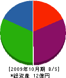 大塚建工 貸借対照表 2009年10月期