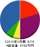 川永建設 貸借対照表 2010年3月期