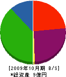 村上建設 貸借対照表 2009年10月期