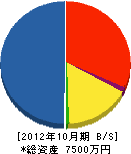 日新ハウス 貸借対照表 2012年10月期